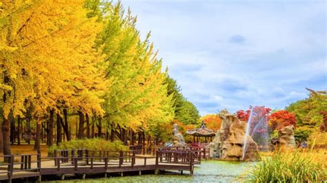 seoul temperature october|Visiting Seoul in October: A Comprehensive Guide to Special .